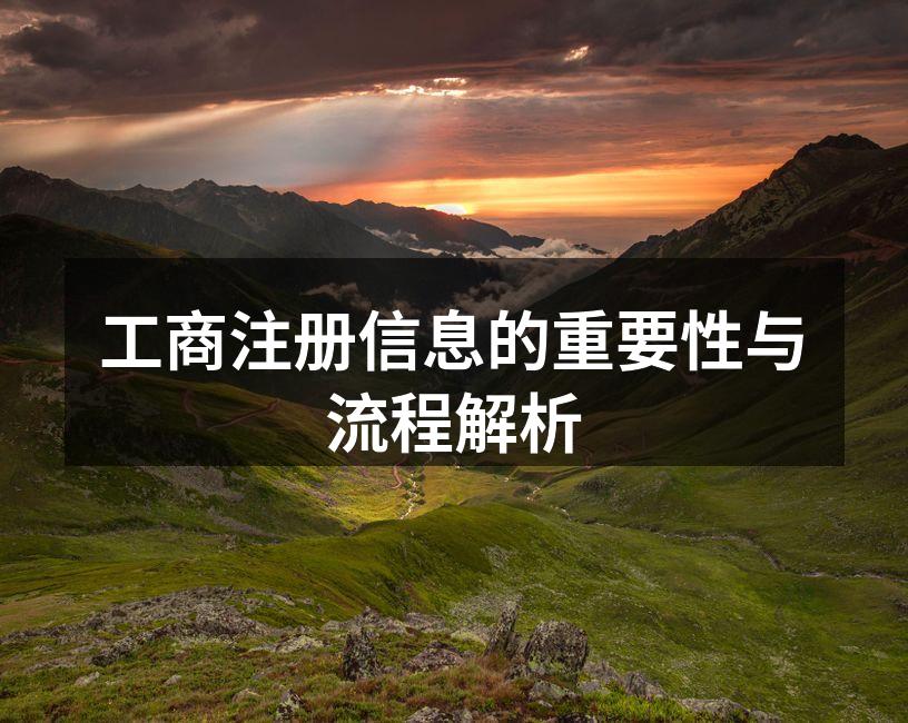 工商注册流程示意图