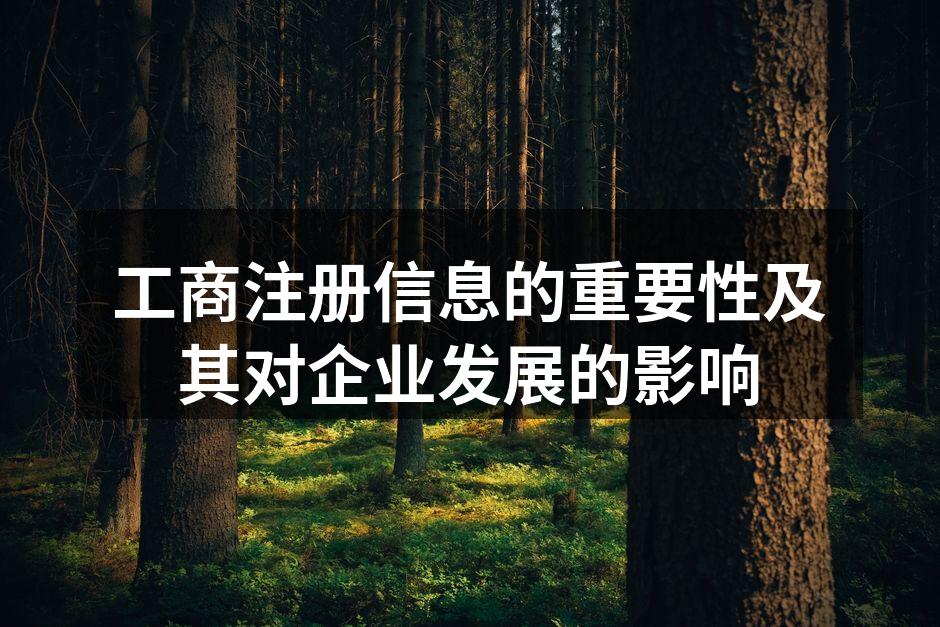 工商注册信息的重要性概述