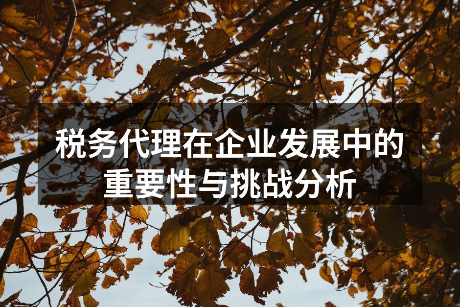 税务代理降低企业税务风险