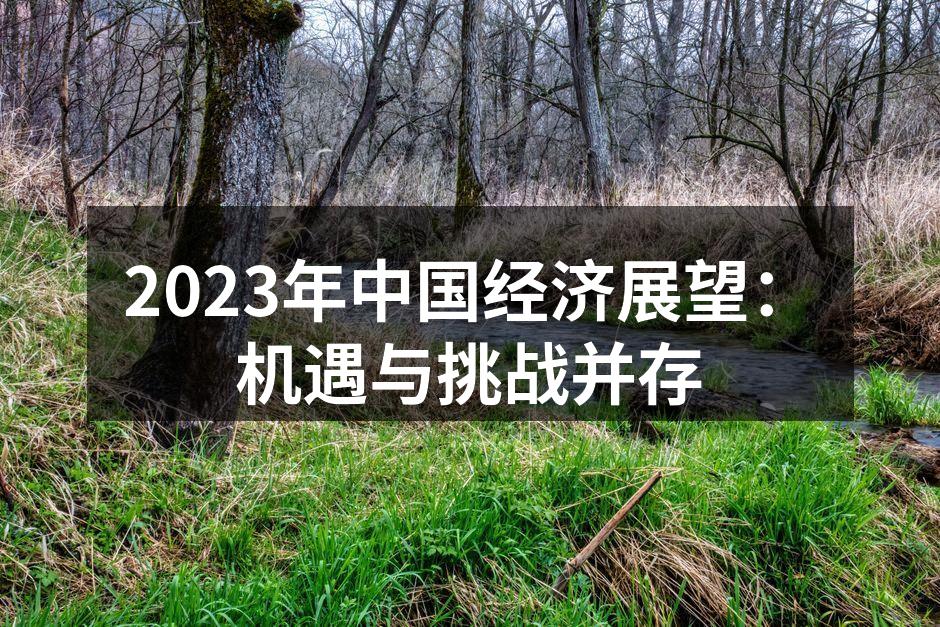 2023年中国经济展望
