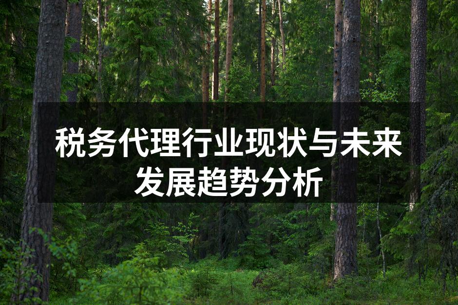 税务代理服务的专业化发展