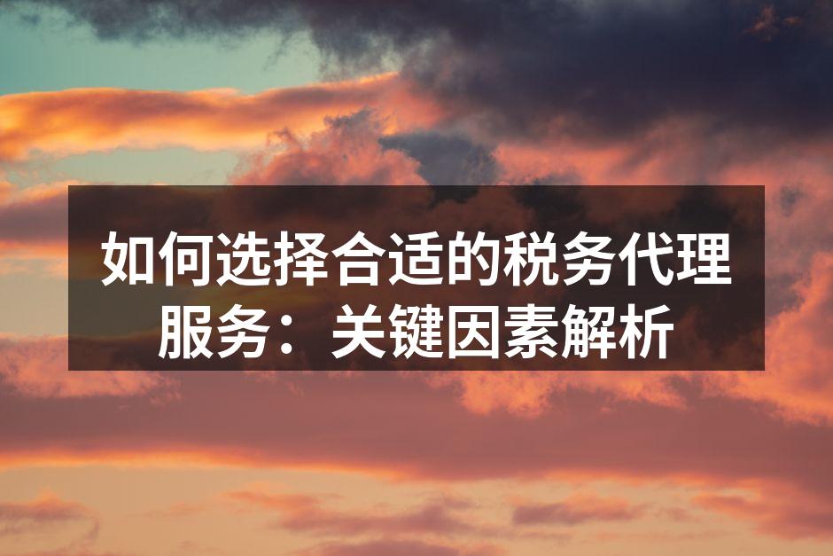 专业税务代理团队工作场景