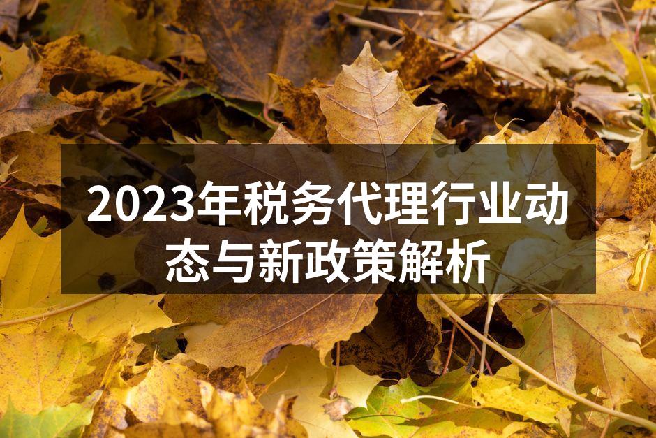 税务代理机构专业团队