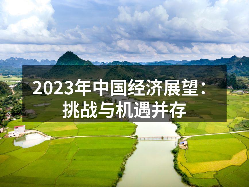中国经济展望分析